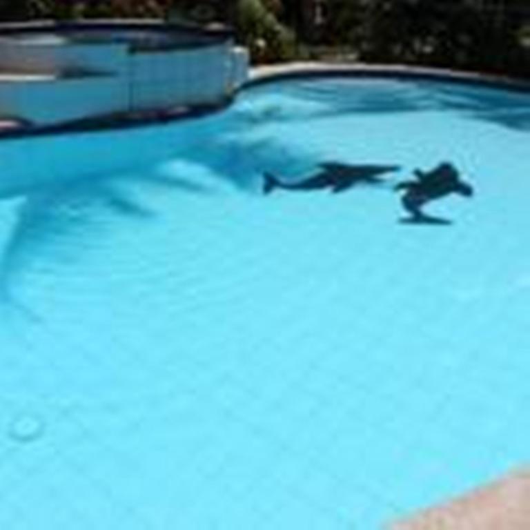 Lost Horizon Beach Dive Resort Bohol Exteriör bild